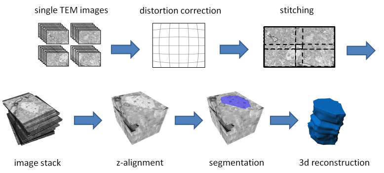 image processing workflow diagram