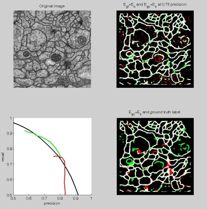 Screenshot of the demo for a drosophila larva image